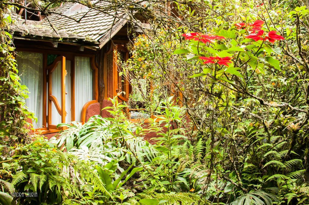 Finca Chamanapamba Guest House Baños Dış mekan fotoğraf